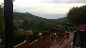A balcony with potted plants and a view of a hilly landscape. - Il Piccolo Paradiso (Livorno)