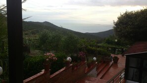 Courtyard - Il Piccolo Paradiso (Livorno)