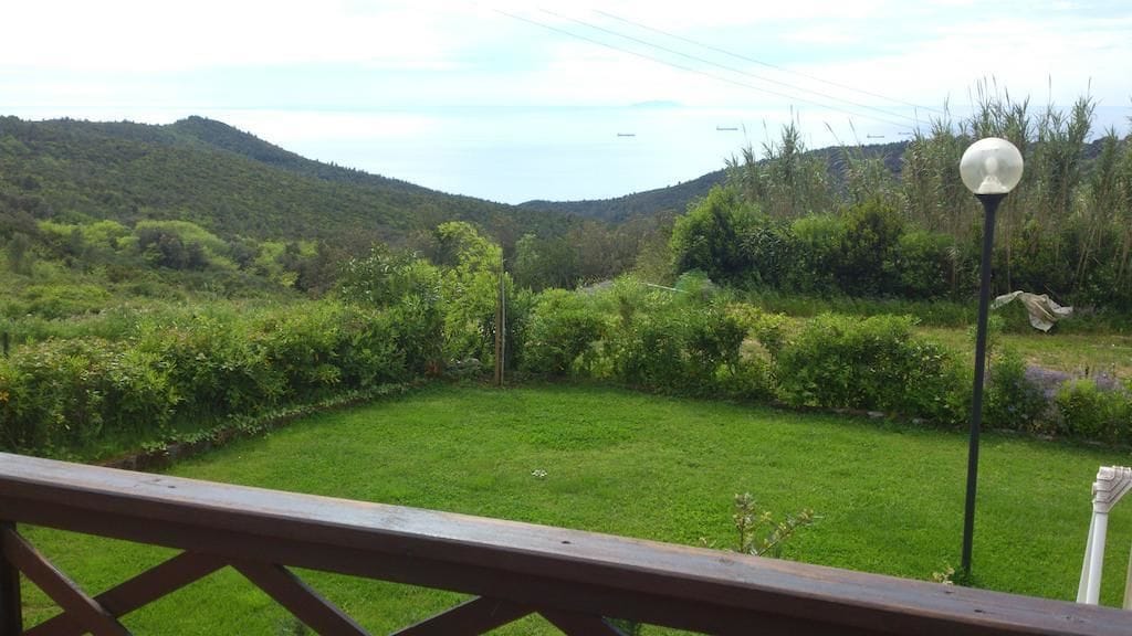 Une cour arrière verdoyante avec une terrasse en bois et un lampadaire.