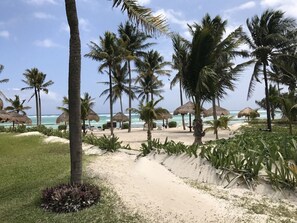 A beach with palm trees, thatched umbrellas, and a clear view of the ocean.