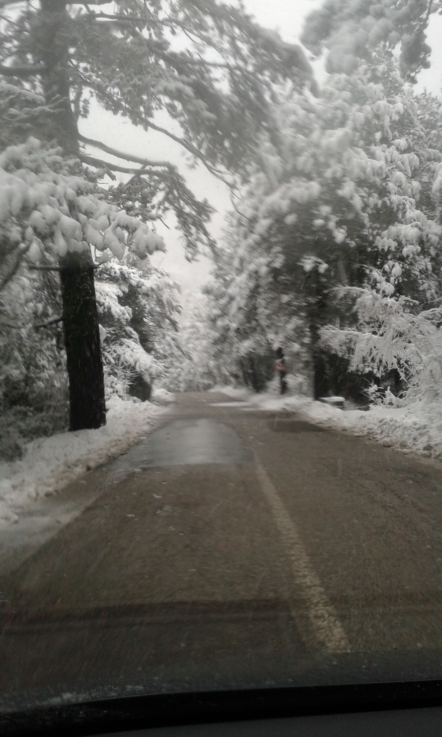 A snow-covered road flanked by trees.