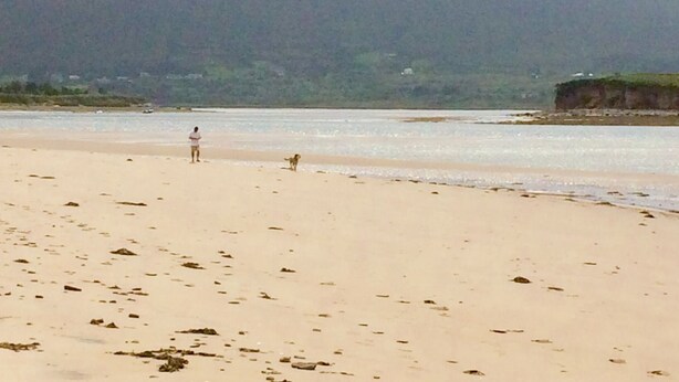 Una spiaggia con una persona e un cane, una montagna sullo sfondo e un mare calmo.