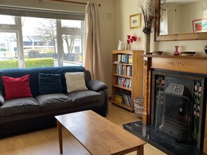 テレビ、暖炉、書庫