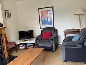 Televisor, llar de foc i llibres 