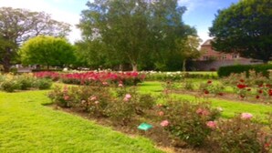Un giardino con aiuole fiorite e un edificio sullo sfondo.