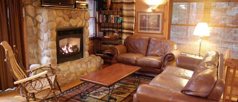 Télévision, cheminée, lecteur de DVD, livres