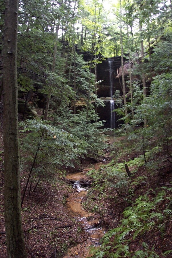 Unclassified image, 1 of 26, button