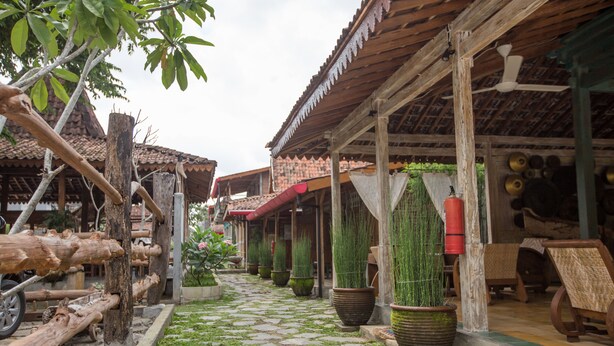 Un patio con sendero adoquinado, construcciones de madera y plantas en macetas.