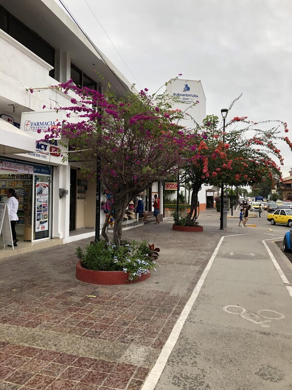A street with storefronts, including a pharmacy and a restaurant.