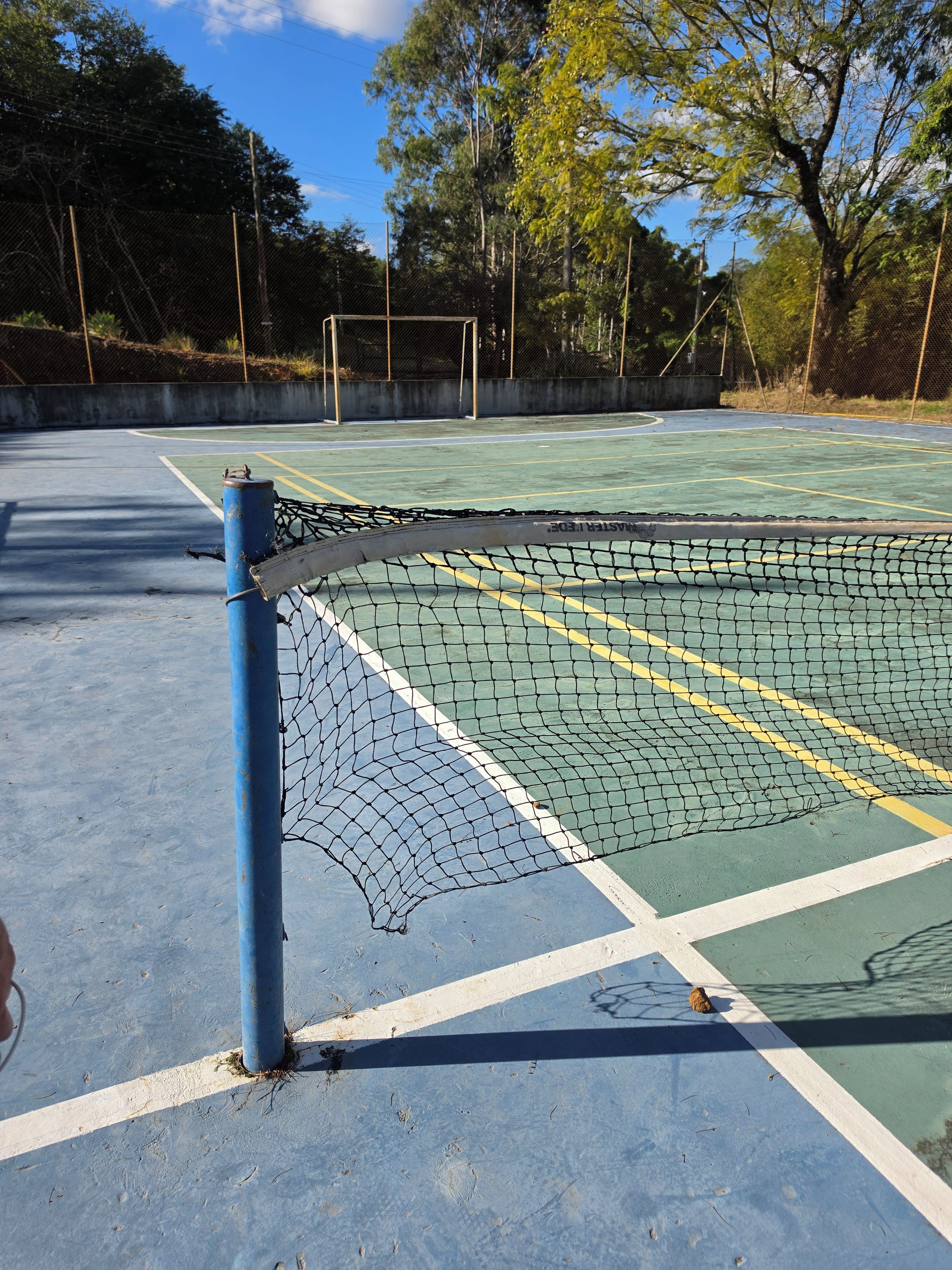 Una cancha de tenis con una red, líneas de demarcación y un poste azul.