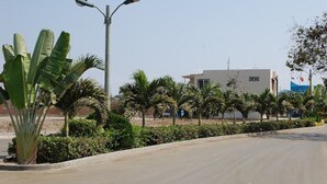 A road with a street lamp and palm trees. - Casa Lila (Montecristi)