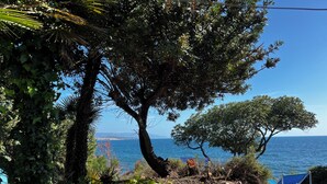 Un paysage côtier avec des arbres, un affleurement rocheux et une vue sur la mer.