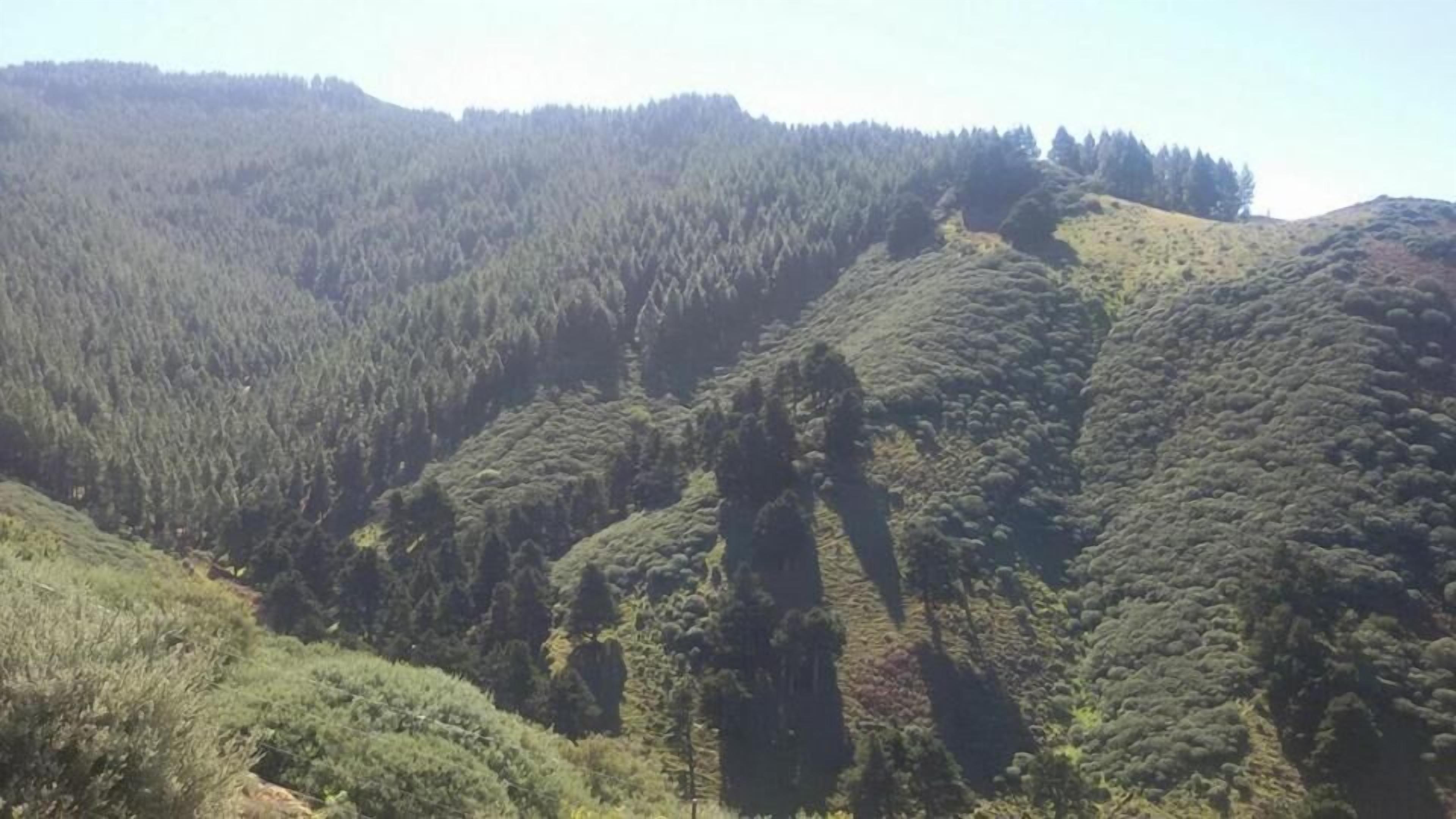 Foto - Cabañas Valle Verde