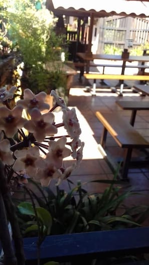 A patio area with outdoor seating and a flower arrangement. - Cabañas Valle Verde (Moya)