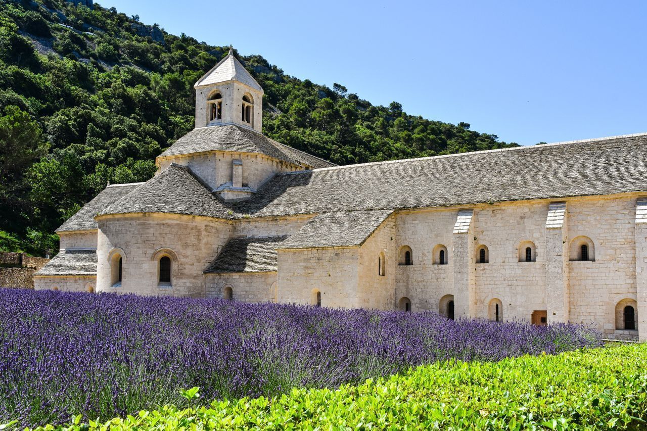 Un edificio storico con un campanile, circondato da un campo di lavanda.