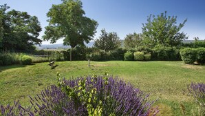 Un jardín bien cuidado con césped, arbustos de lavanda y varios árboles.