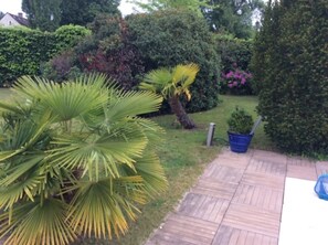 Property grounds - Country house with pool 1 hour from Paris (Villiers-sous-Grez)