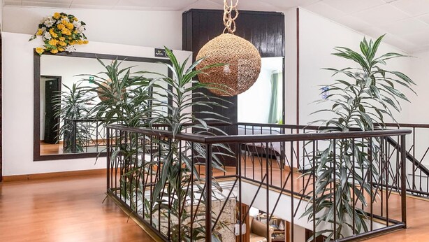 A spacious room with a wooden floor, a glass railing, and multiple potted plants. - Hotel Bogota Alpes Polo Club (Bogotá)