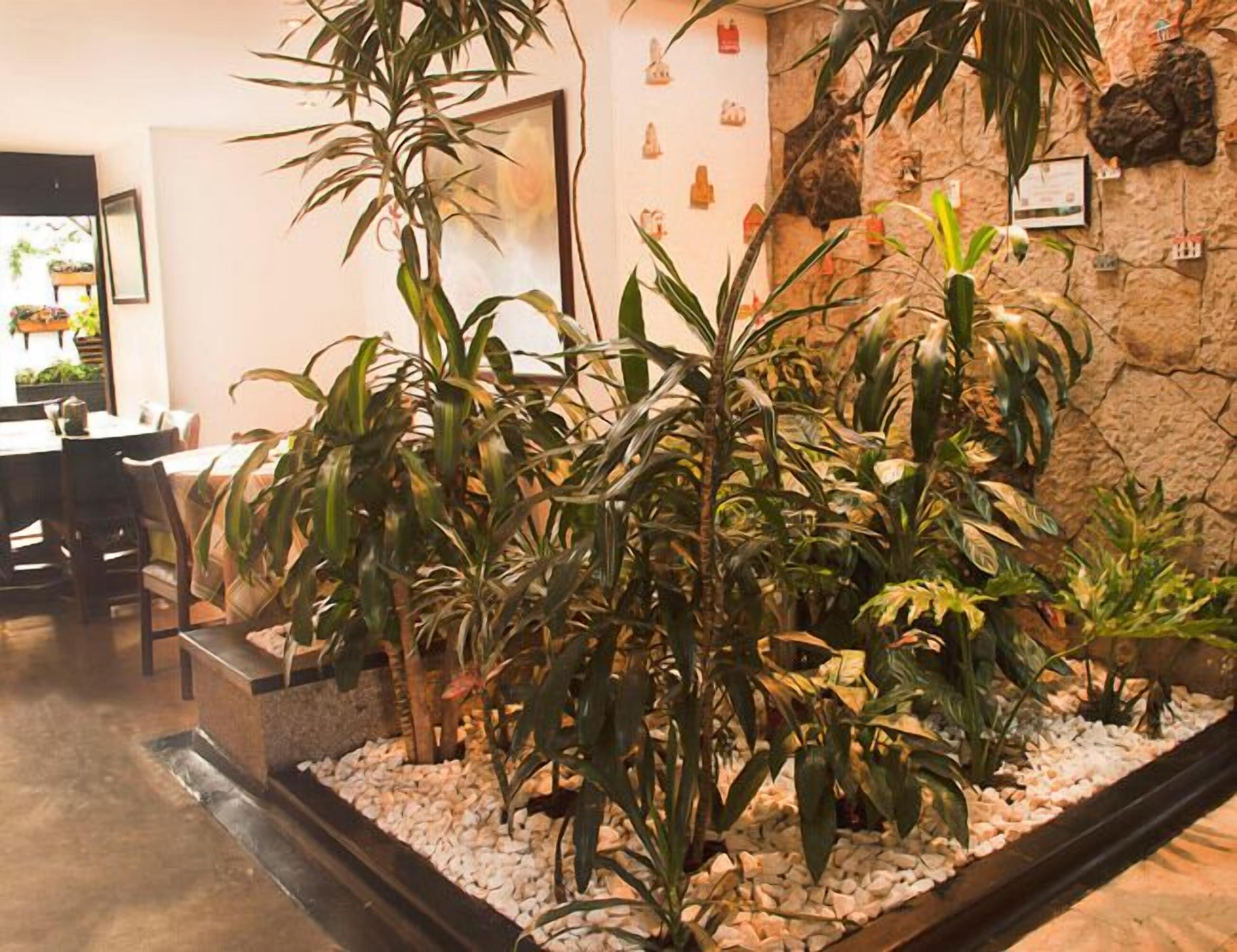 Photo - Hotel Bogota Alpes Polo Club