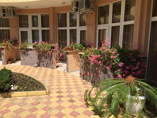 Une cour avec un sol carrelé, des plantes en pot et un palmier.