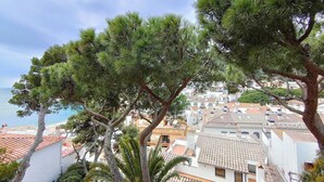 Une ville côtière avec des bâtiments, des arbres et une vue sur la mer.