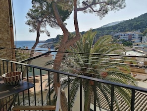 Property grounds - ApartmentsTamariu#4 Unbeatable views &50m to beach (Tamariu)