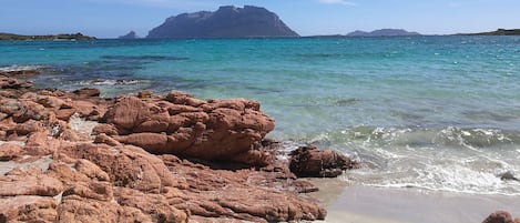 Playa en los alrededores y toallas de playa