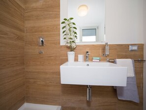 Shower, hair dryer, bidet, towels