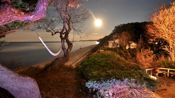 Uma paisagem costeira com um deck de madeira, uma árvore e uma casa ao fundo.