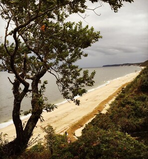Uma praia com uma árvore em primeiro plano e um caminho que leva à costa.