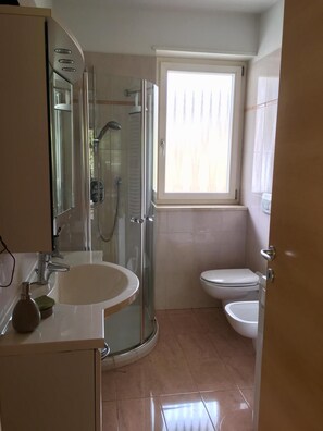 Shower, hair dryer, bidet, towels