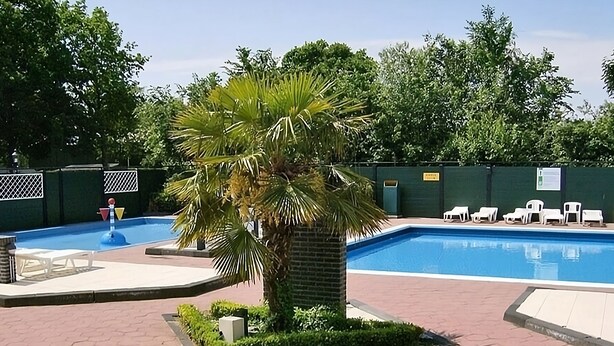 A swimming pool with a palm tree, lounge chairs, and a brick pathway. - Mobile Home in Renesse at the 4-star Camping de Brem (Renesse)