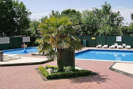 A swimming pool with a palm tree, lounge chairs, and a brick pathway.