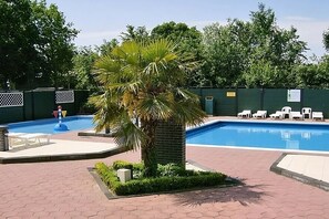 A swimming pool with a palm tree, lounge chairs, and a brick pathway. - Mobile Home in Renesse at the 4-star Camping de Brem (Renesse)