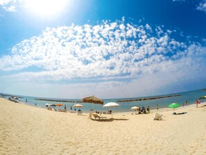 Plage, chaises longues