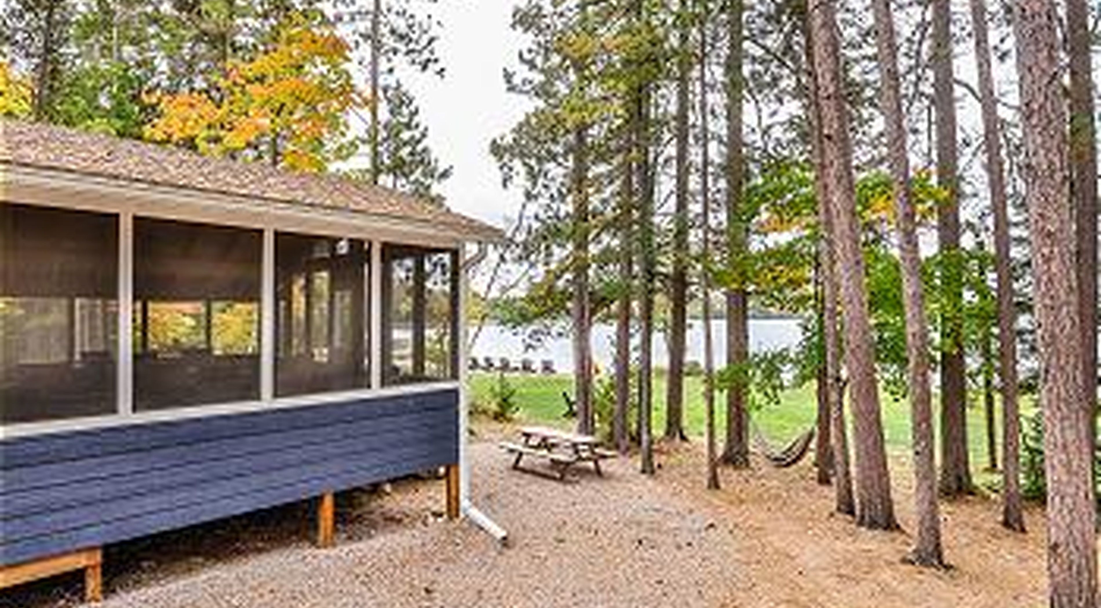 A cabin with a covered porch, a picnic table, and a forested area in the background.
