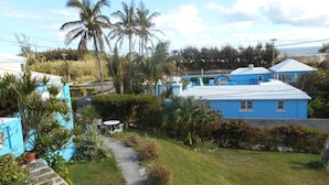 A residential area with a blue house, a paved path, and palm trees. - Blue Horizons Guest House - Room # 7 (Hamilton)