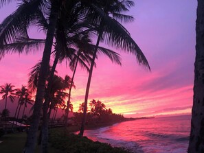 On the beach, sun loungers, beach towels