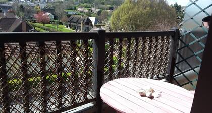 Charming 2 room apartment in Houlgate close to the sea