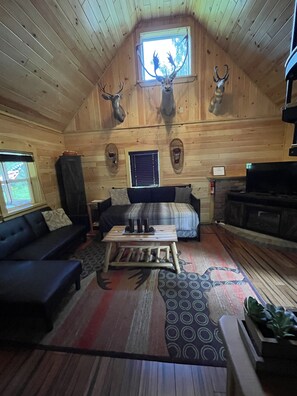 Televisio, takka, DVD-soitin, stereot