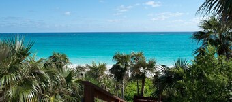 Lux Beachfront House W/ Private Pool on Banks Rd. Walk to Tippy's!