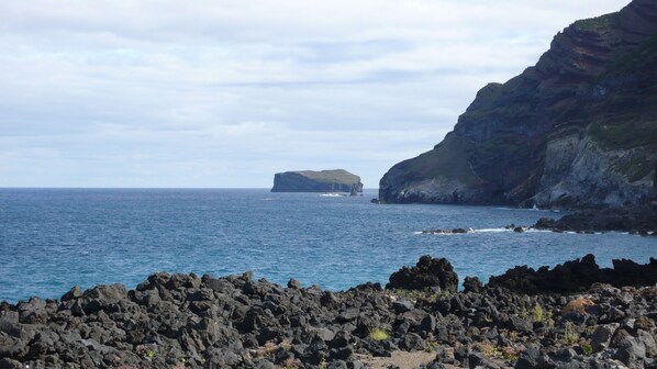 Una costa rocosa con un acantilado destacado y una pequeña isla a lo lejos.