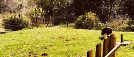 Enceinte de lâhĂ©bergement