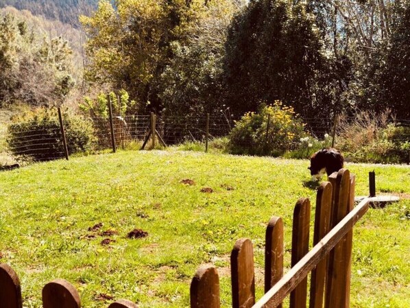 Jardines del alojamiento