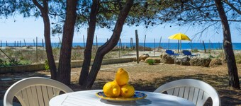 Comfortable independent holiday home with direct access to the beach of Ascea