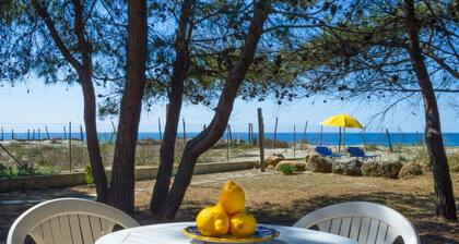 Comfortable independent holiday home with direct access to the beach of Ascea