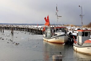 Ein Yachthafen mit mehreren dort angestuerten Booten, einer anlegenden Pier und zahlreichen Vögeln in der Luft und im Wasser.