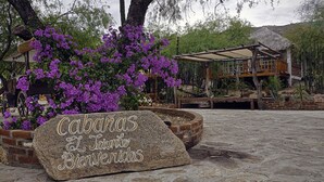 Jardín