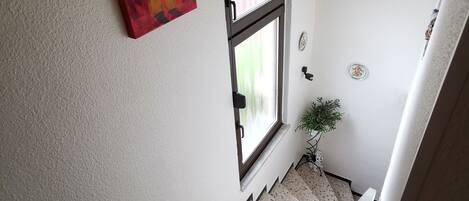Un couloir avec une fenêtre, une porte et une petite plante.
