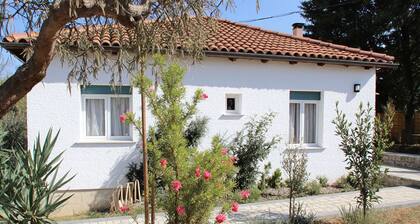 Villa Siesta gr